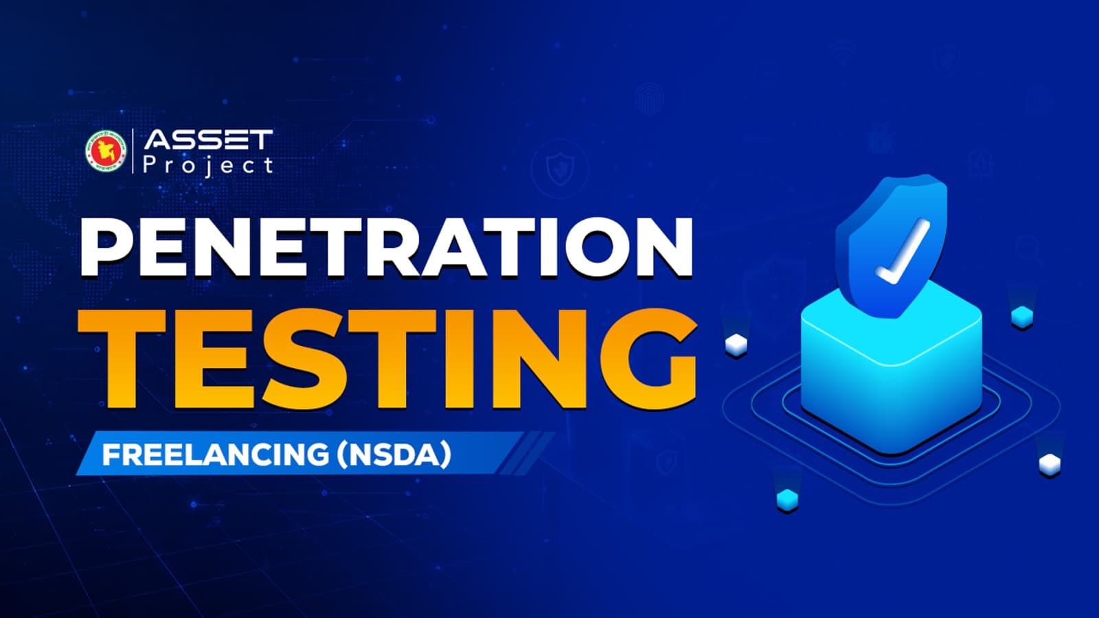 ASSET Project-Penetration Testing for Freelancing (NSDA)